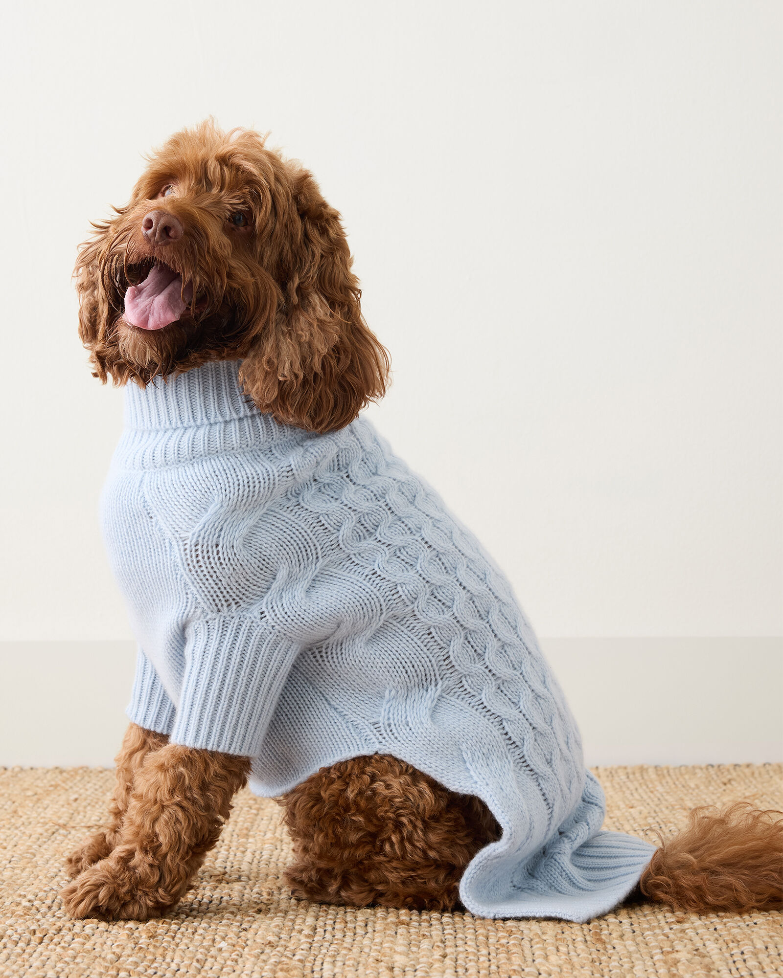 Cashmere Cable Knit Dog Sweater Haven Well Within