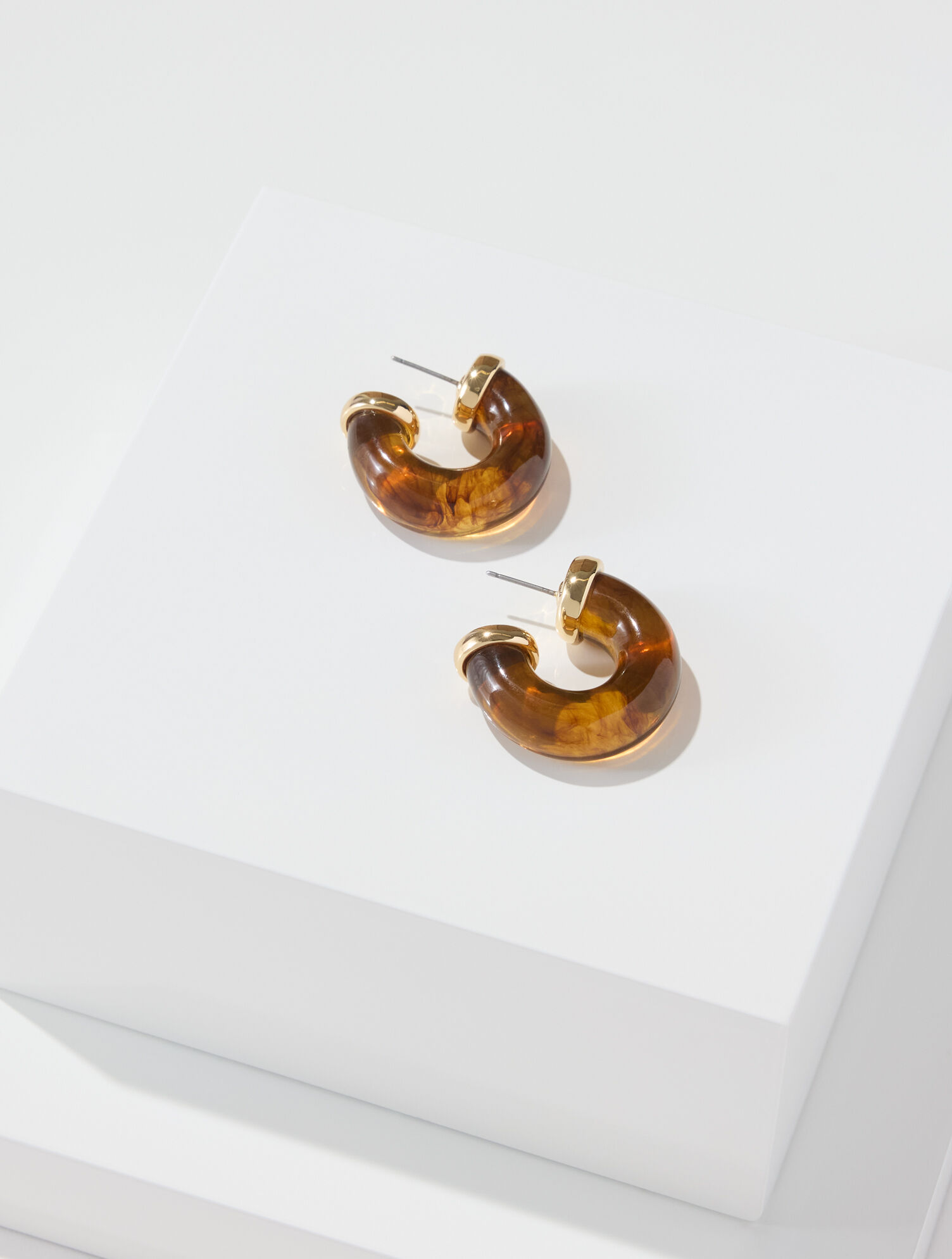 Chubby Resin Hoop Earrings