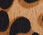 Leopard Calf Hair Headband