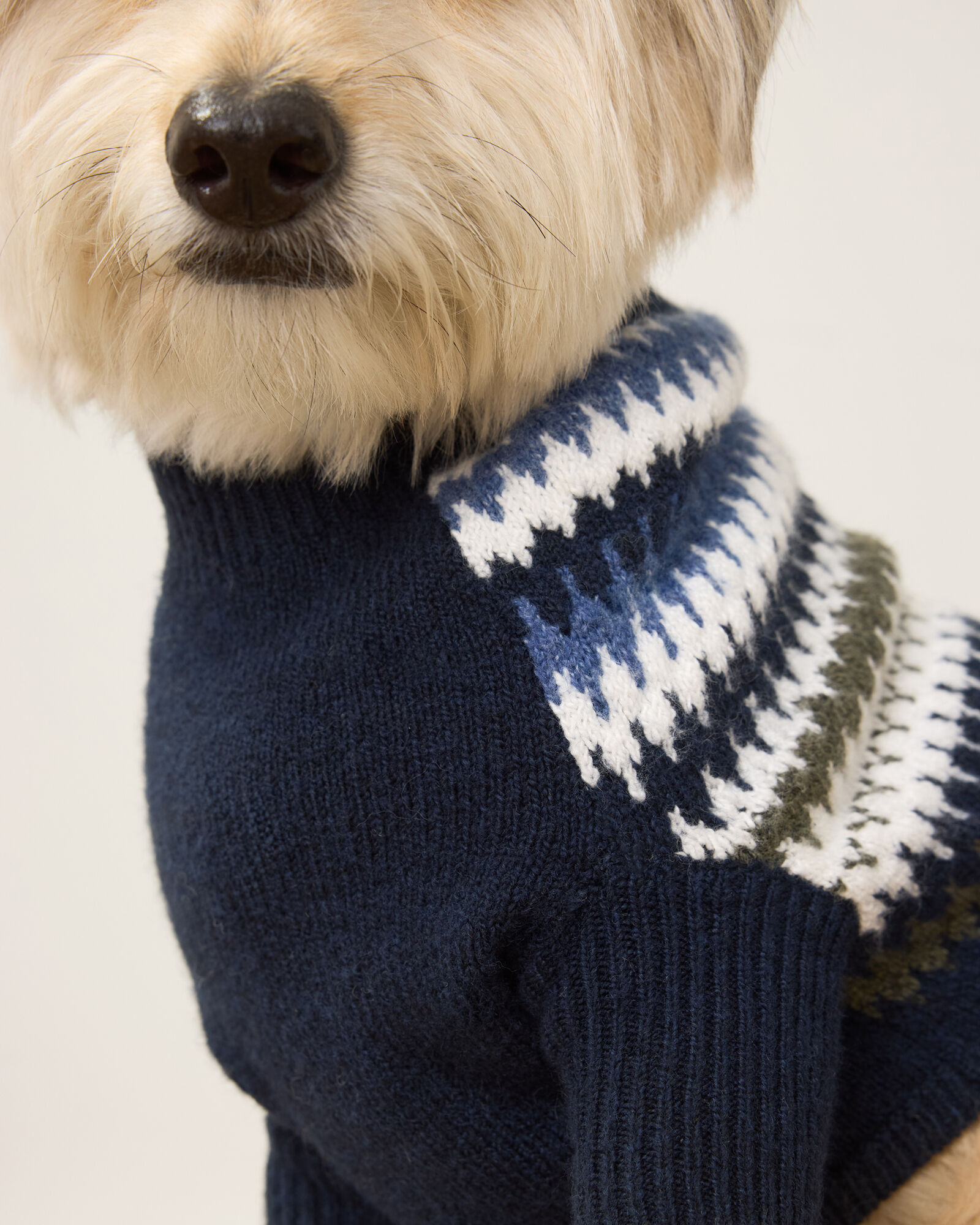 Organic Cotton Blend Fair Isle Dog Sweater - thumbnail 5