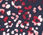 Studio Stretch Built-In Bra Tank - Leopard Kaleidoscope