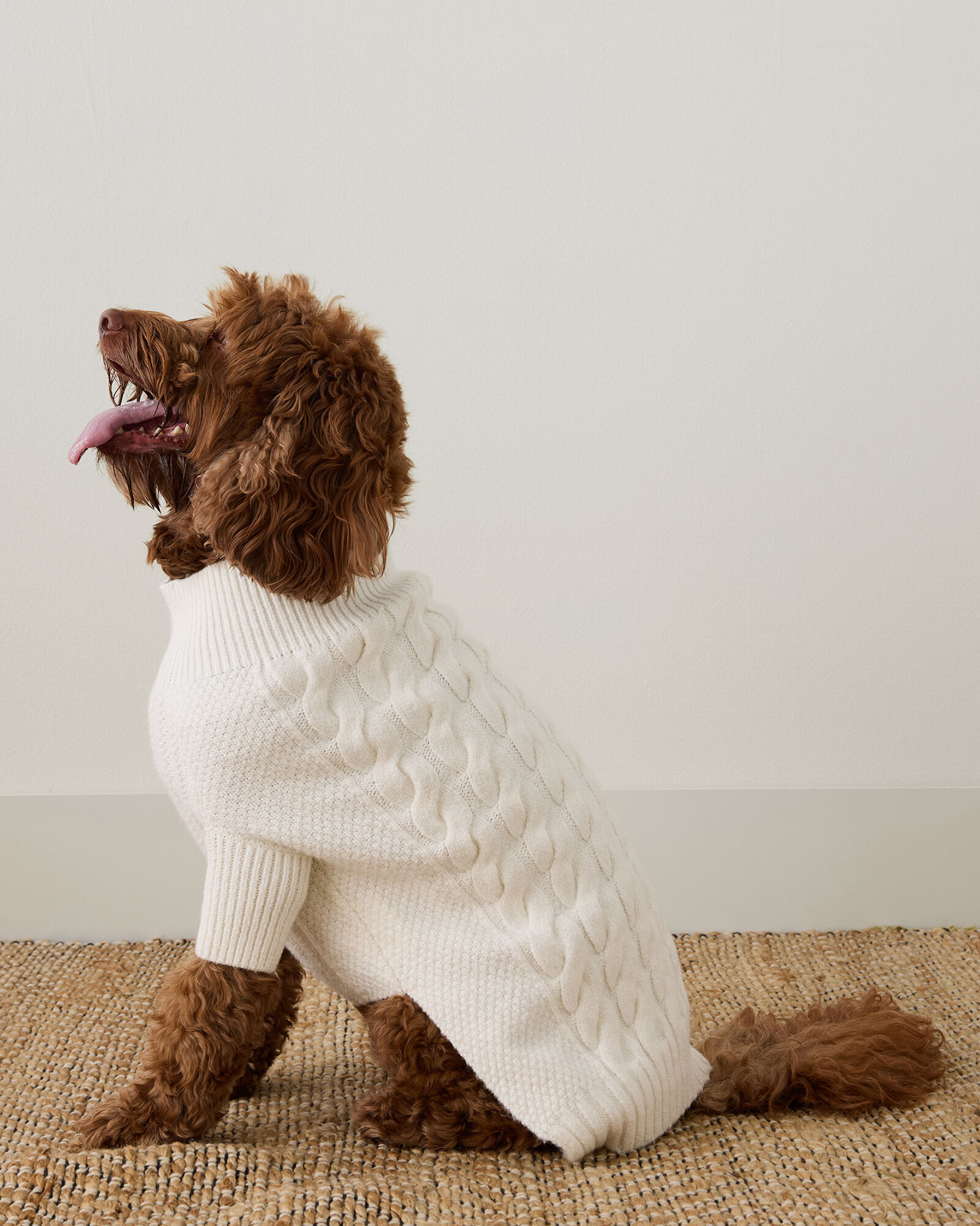 Cotton Dog Sweater: Keep Your Pet Warm and Stylish