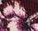Audrey Cashmere Sweater - Fresco Floral