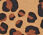 Poplin Shirtdress - Lavish Leopard