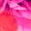 Miraclesuit&reg; Sanibel Blended Floral Tankini