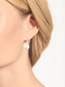 Freshwater Pearl Leverback Earrings