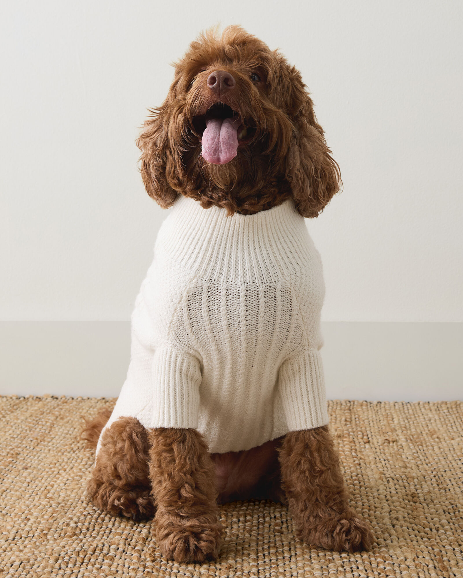 Organic Cotton Dog Sweater | Haven Well Within