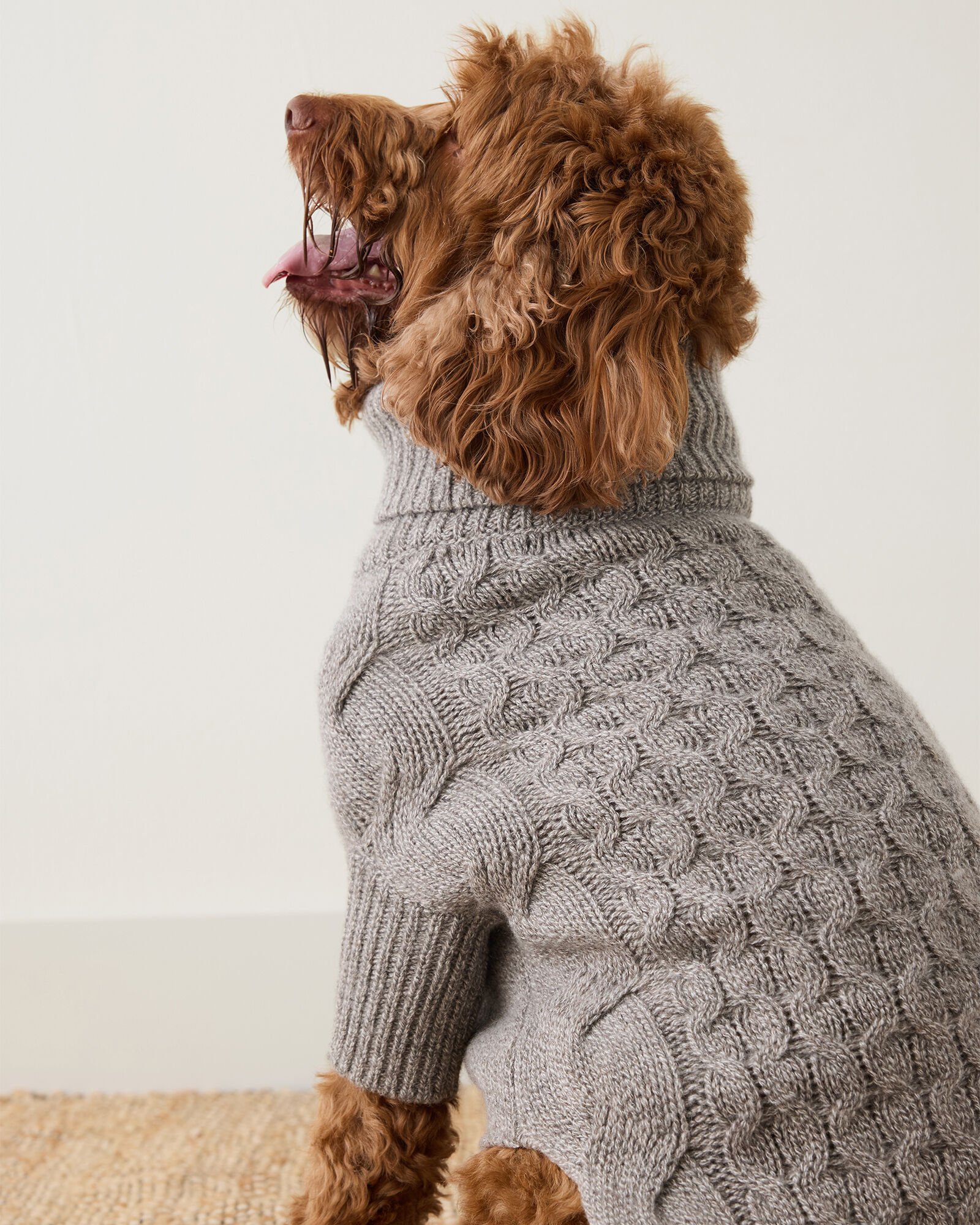 Marled Cashmere Cable Knit Dog Sweater Haven Well Within