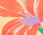 Bateau Neck Tee - Blooming Oasis