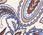 Side Tie Crewneck Tee - Serene Paisley