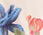 Echo Secret Garden Topper