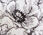 Wide Leg Pull-On Pants - Petal Poetry