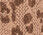 Pointelle Charming Cardigan - Modern Leopard