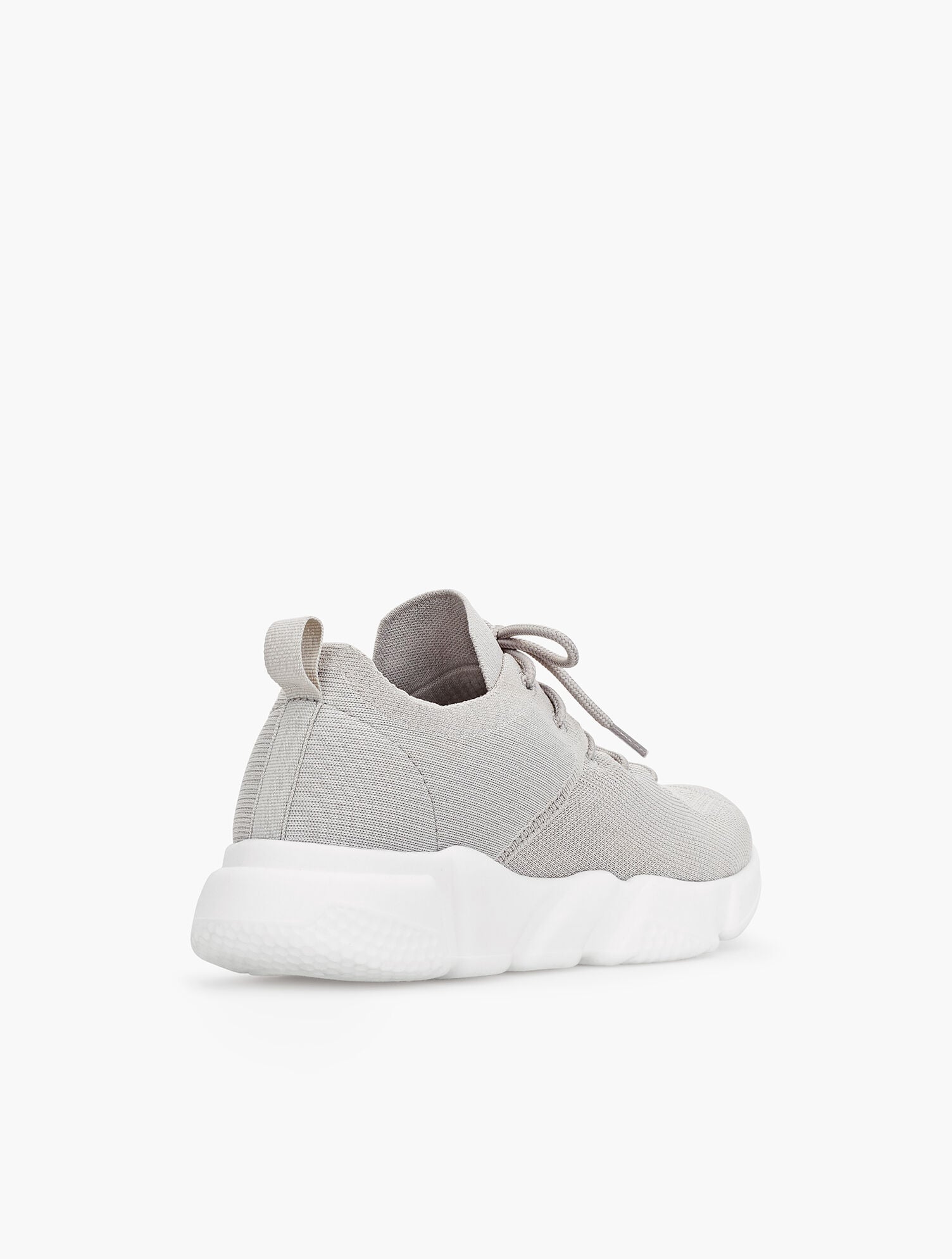 Talbots Trainer