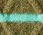 BURNT OLVE/SOFT JADE