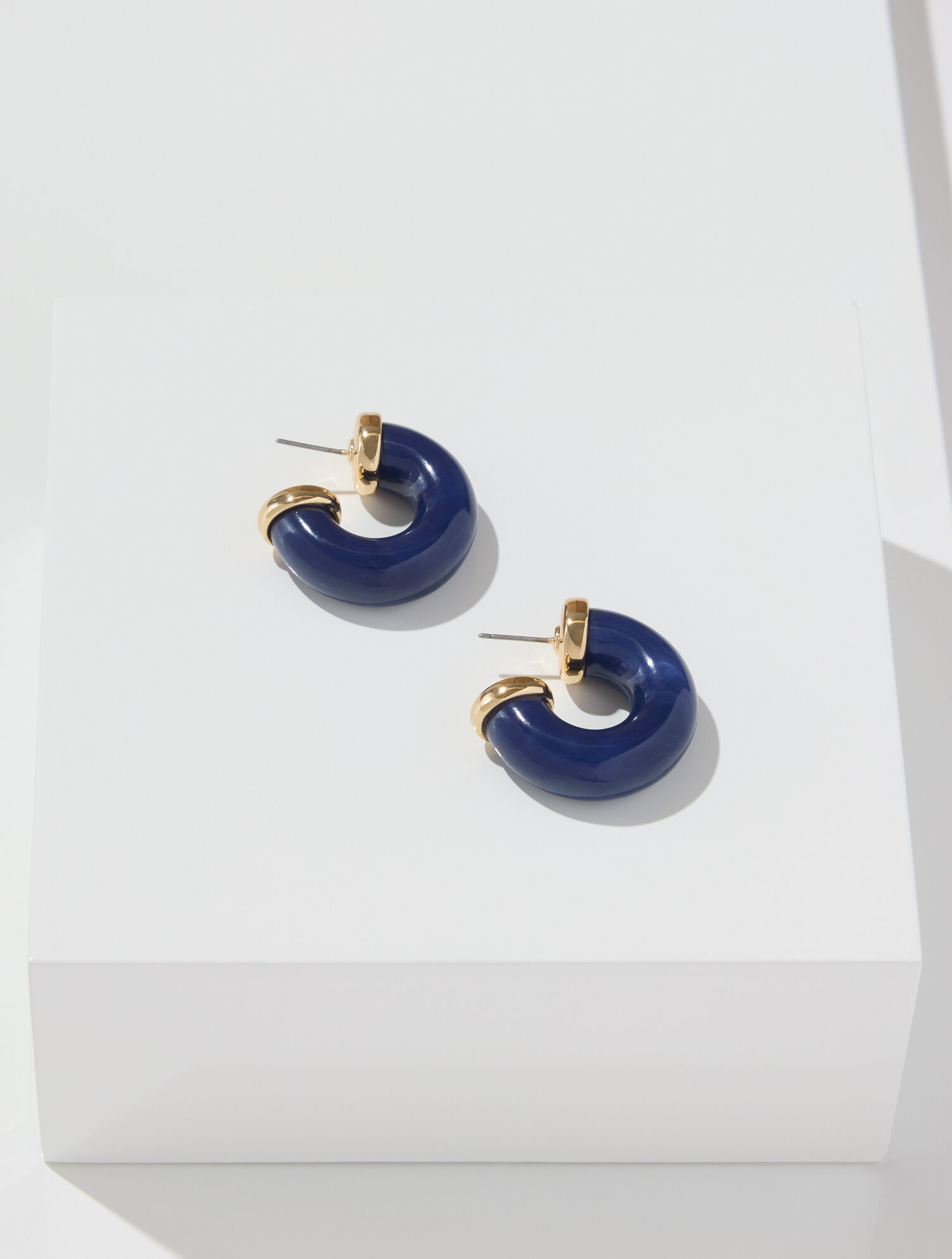 Chubby Resin Hoop Earrings