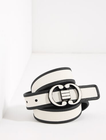 Reversible Belt