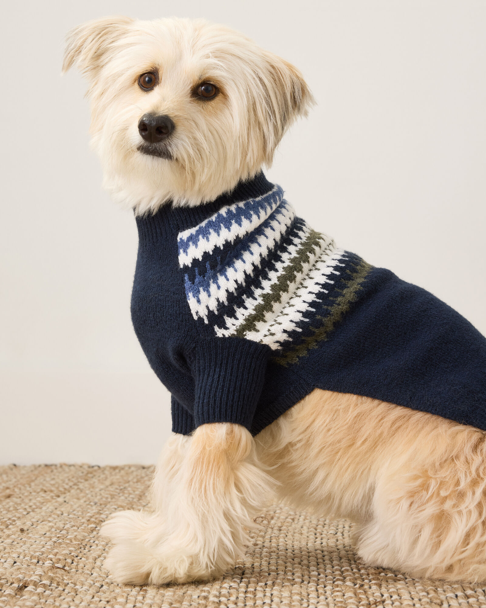 Organic Cotton Blend Fair Isle Dog Sweater - thumbnail 4