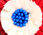 Tricolor Straw Hair Tie