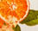 Cotton Button Front Shirt - Lemons and Oranges