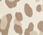 Vera Mesh Ballet Flats - Alluring Leopard
