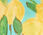 Pintuck Ruffle Trim Top - Lemon Bunches