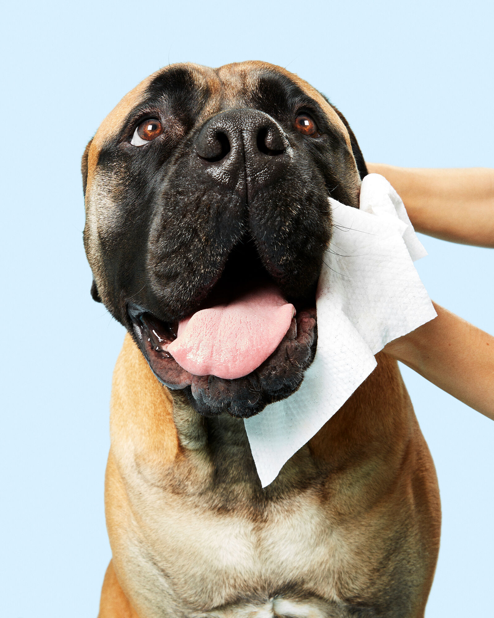 DOG&reg; by Dr Lisa Soothing Dog Wipes