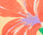 Bateau Neck Tee - Blooming Oasis