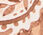 Prancing Paisley Oblong Scarf