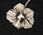Wide Leg Pull-On Pants - Deco Flowers