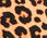 Quilted Reversible Jacket - Allover Animal
