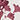 Organic Cotton Jersey Blushing Blooms Pajama Pants
