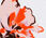 Elbow Sleeve Crewneck Sweater - Vivid Blooms