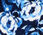 Charming Shell - Ravishing Floral