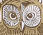 Smocked Blouse - Etched Owl