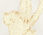 Jacquard Ruffle Top - Mistletoe