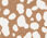 Bateau Neck Tee - Bicolor Spots