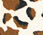 Satin Maxi Skirt - Opulent Ocelot