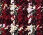 Bronte Multicheck Coat