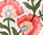 Scallop Hem Shorts - Floral Radiance