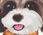 Puppy Love  Square Scarf