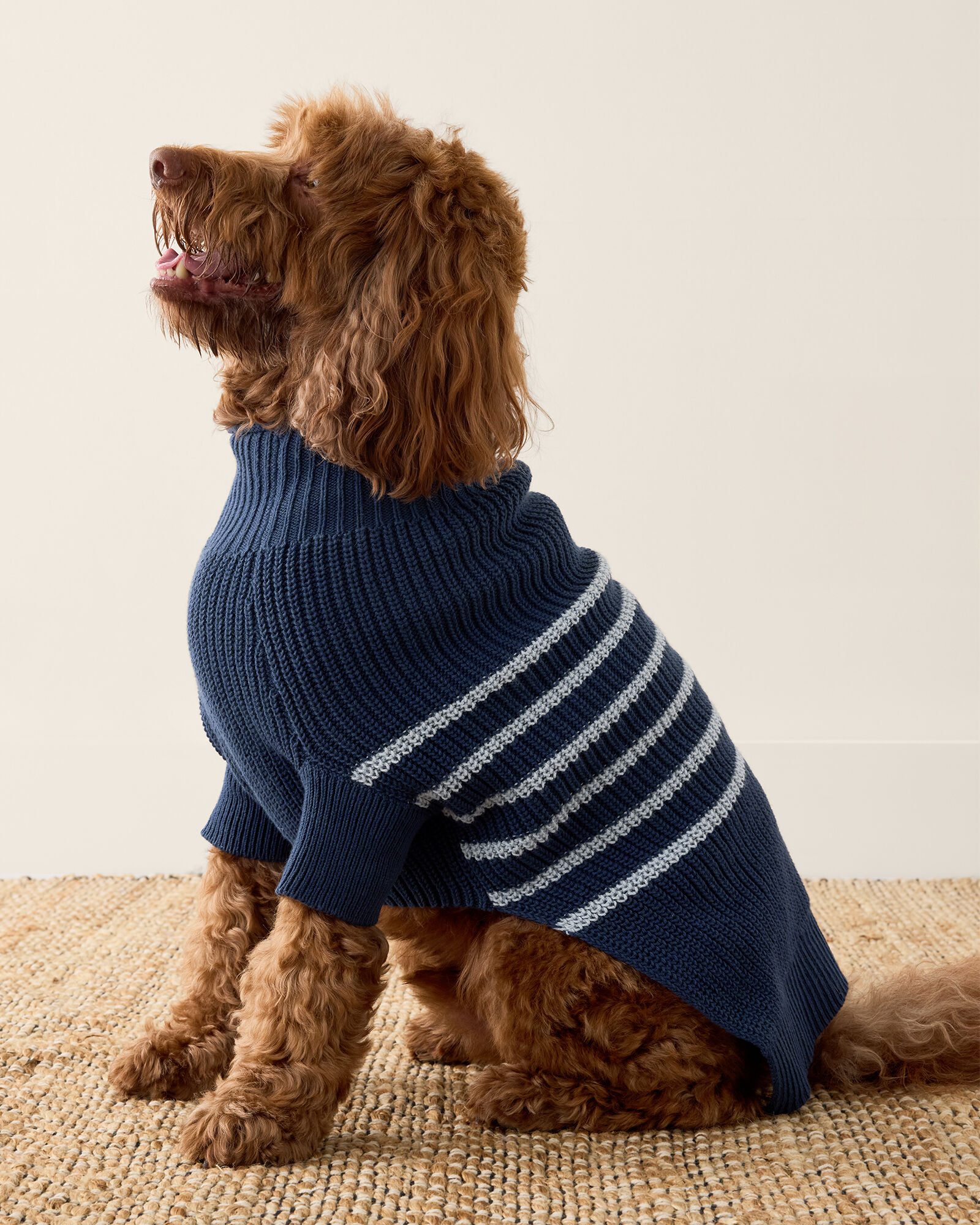 Organic Cotton Striped Dog Sweater - image 3