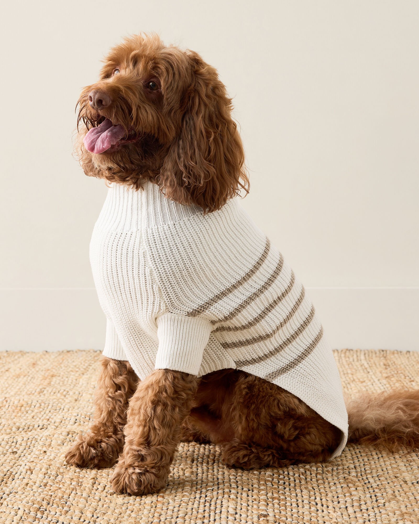 Organic Cotton Striped Dog Sweater - image 2