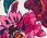 Supersoft Jersey Long Sleeve Tee &ndash; Poetic Floral