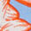 Tiered Midi Skirt - Flowing Hibiscus