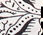 Exquisite Paisley Skinny Scarf