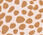 Modern Classic Shirt - Modern Leopard