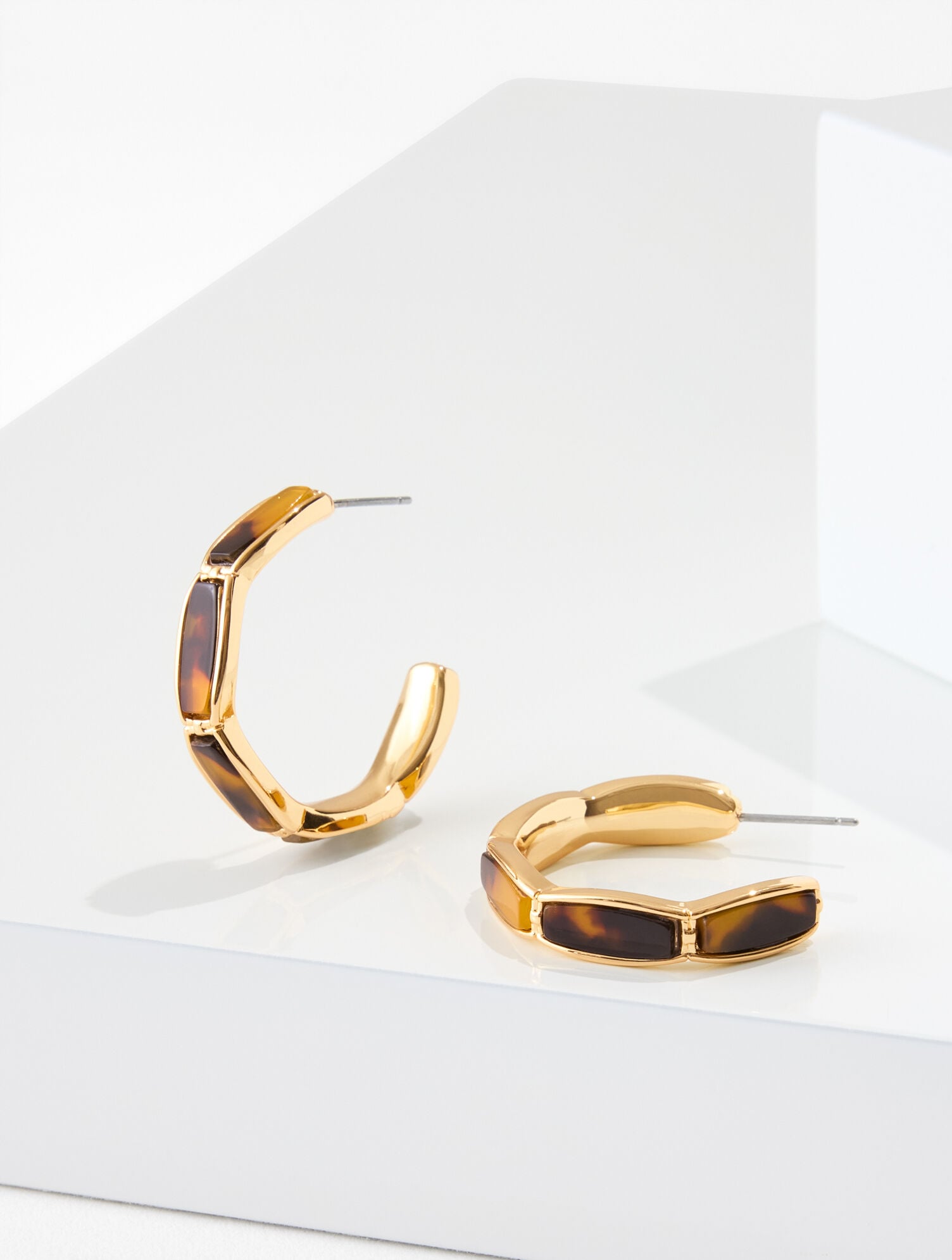 Tort Plates Link Hoop Earrings