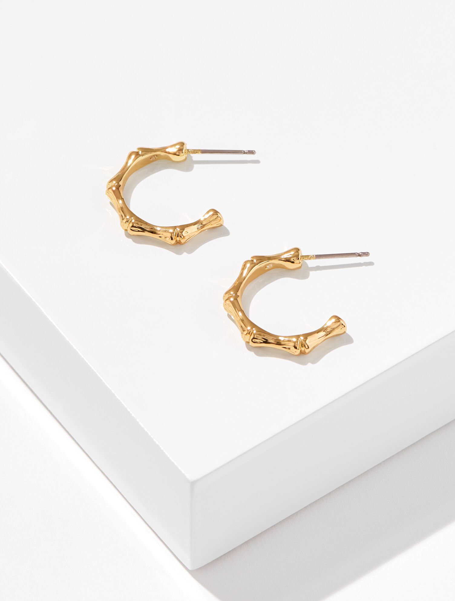 Bamboo Texture Hoop Earrings