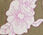Outlined Botanical Popover